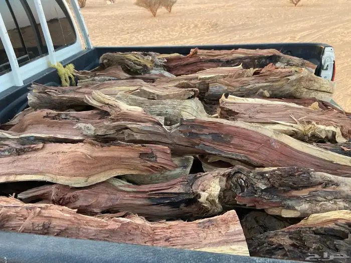 مستورد سمر 2