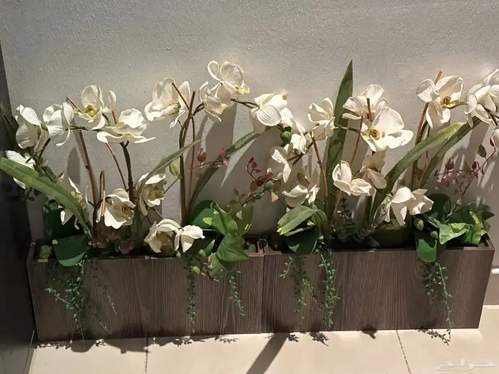 2 مراكن زرع صناعي للبيع اشتريت الحبة ب120 0