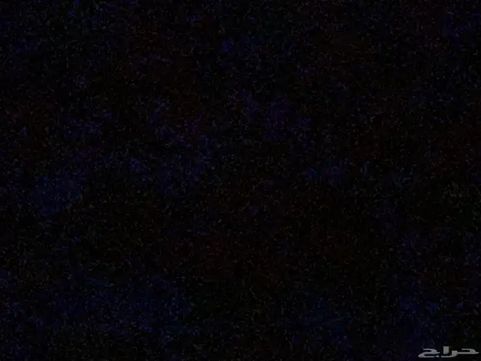 أريد تبني كلب إلي معاه كلب يبغى احد يتبناه أنا موجود 0