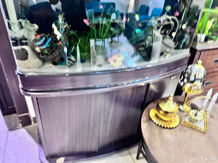حوض سمك كبير جدا للبيع مع الاسماك ب 400 ريال 1