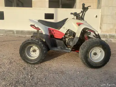 دباب لإيجار index