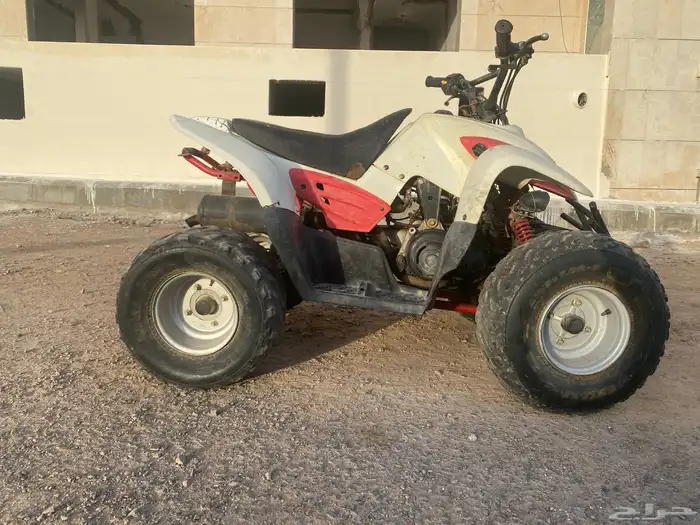 دباب لإيجار 1