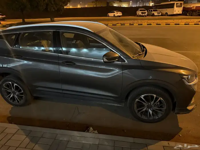 جيلي كولراي 2023 للبيع 9