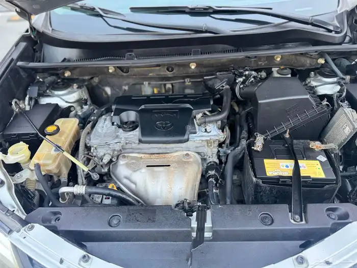 رافور فل كامل جلد للبيع 20