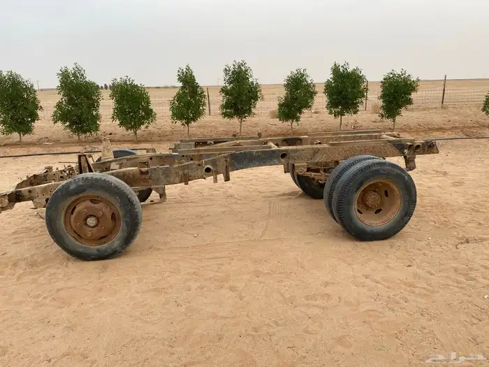 شاص دينا للبيع 0