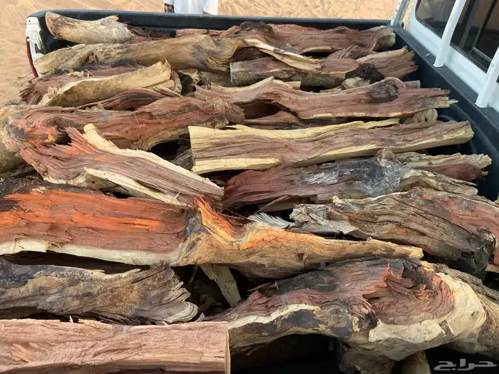 مستورد سمر 0