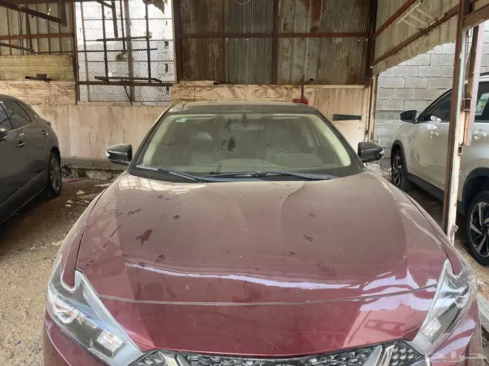 مكسيما16فل 2