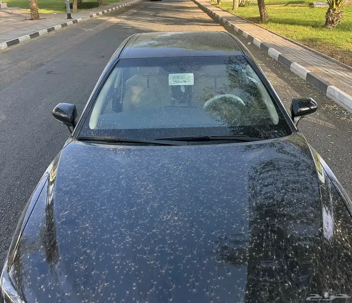 كامري أسود ستاندر طيس سعودي وارد عبد اللطيف جميل 2024 25