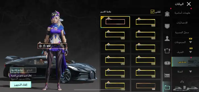 حساب ببجي للبييع 59