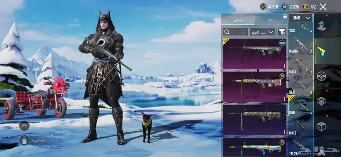 حساب ببجي لفل66 على سوم والبيع قريب 58