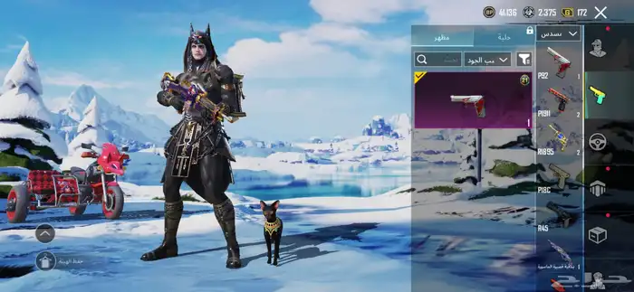 حساب ببجي لفل66 على سوم والبيع قريب 43