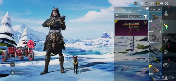 حساب ببجي لفل66 على سوم والبيع قريب 54