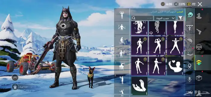 حساب ببجي لفل66 على سوم والبيع قريب 19