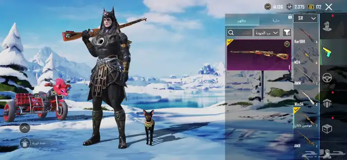 حساب ببجي لفل66 على سوم والبيع قريب 66