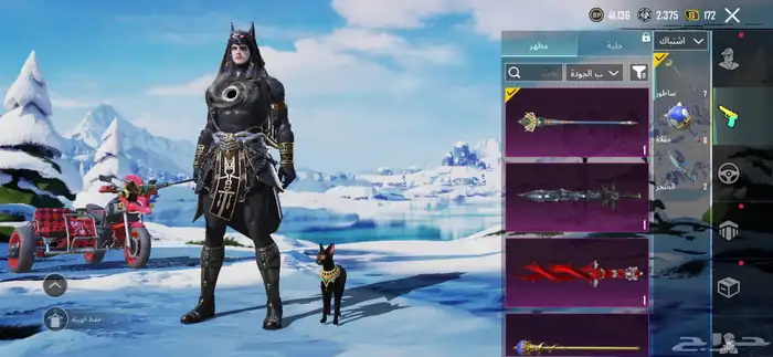 حساب ببجي لفل66 على سوم والبيع قريب 35