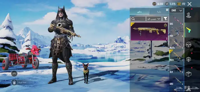 حساب ببجي لفل66 على سوم والبيع قريب 60