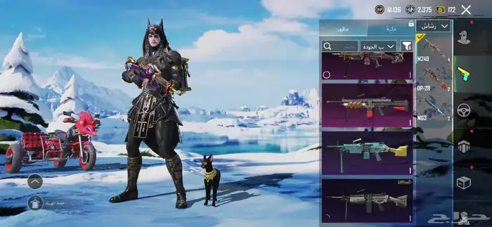 حساب ببجي لفل66 على سوم والبيع قريب 45