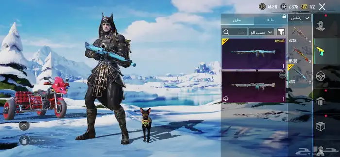 حساب ببجي لفل66 على سوم والبيع قريب 41