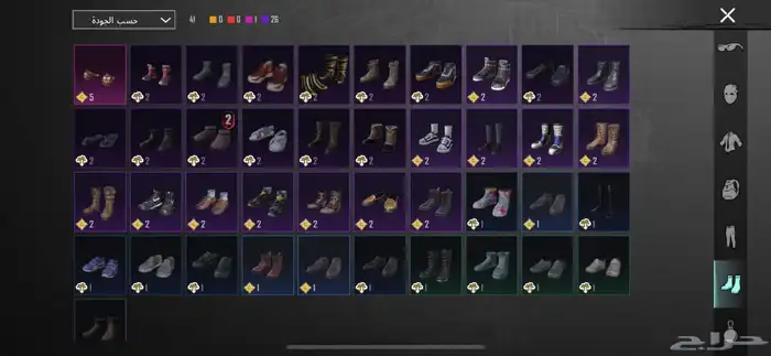 حساب ببجي للبييع 18