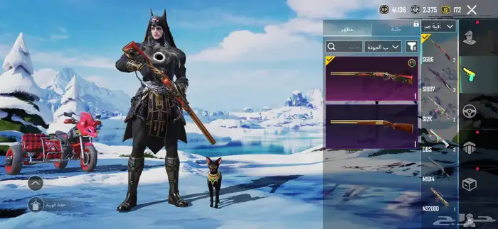 حساب ببجي لفل66 على سوم والبيع قريب 51