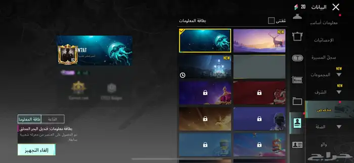 حساب ببجي للبييع 61