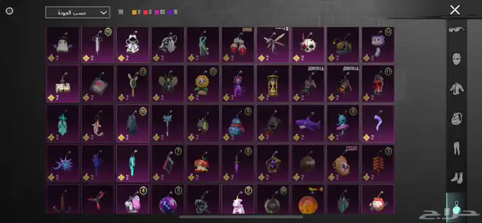 حساب ببجي 20