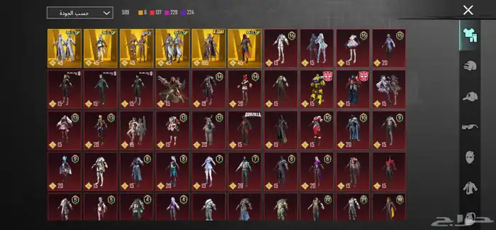 حساب ببجي للبيع 2