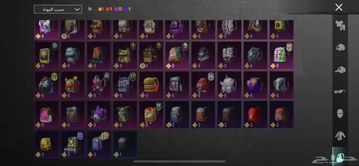 حساب ببجي 24