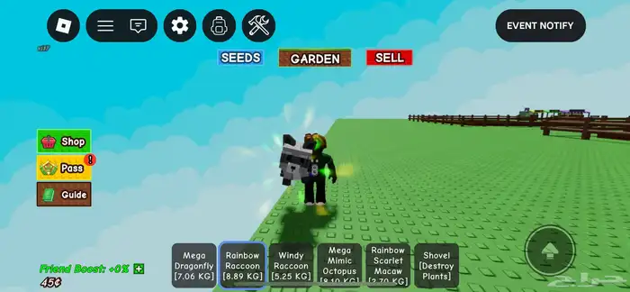 راكون وحيوانات قرو ا قاردن 0