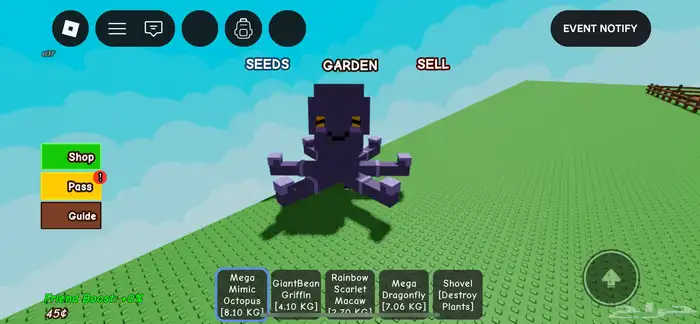 راكون وحيوانات قرو ا قاردن 1