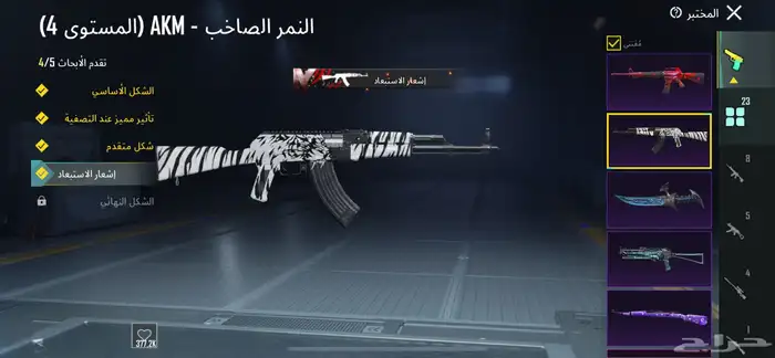 حساب ببجي ممتاز بسعر مميز 3