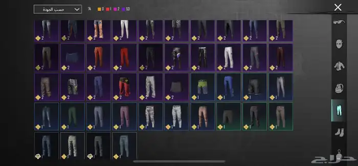 حساب ببجي 22