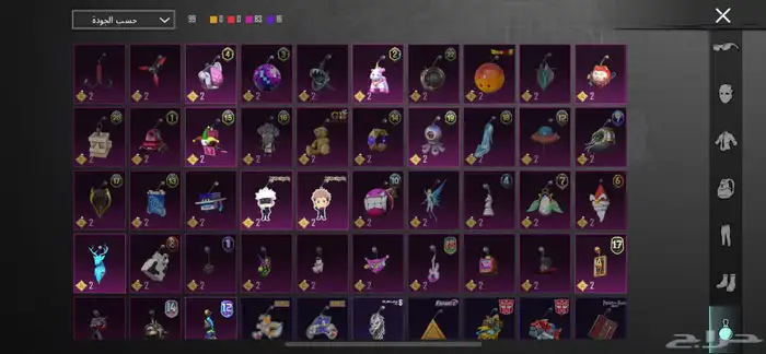 حساب ببجي 19