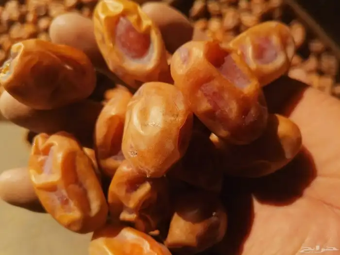 اخلاص جامبو نظيف مقما السومه 20 5