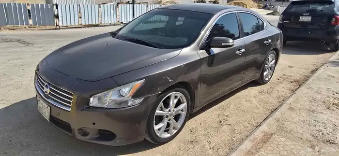 ماكسيما 2014 1