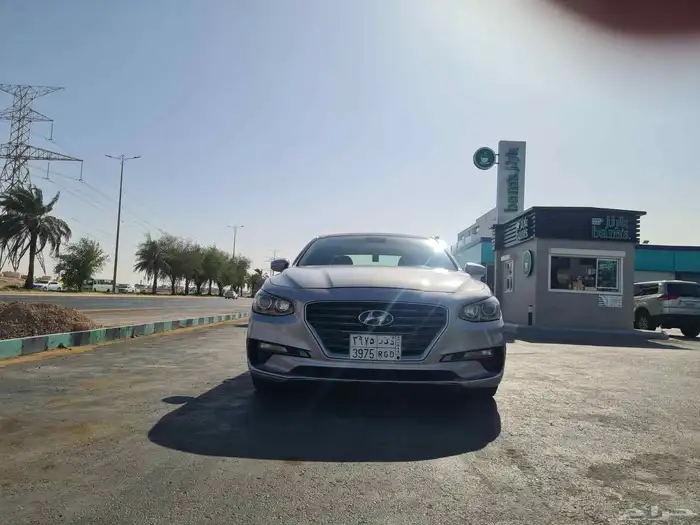 أزيرا 2019 بالأحساء 11