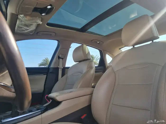 أزيرا 2019 بالأحساء 8