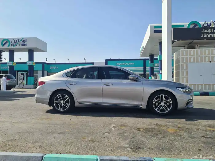 أزيرا 2019 بالأحساء 12