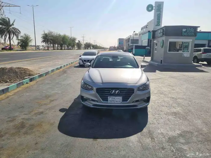 أزيرا 2019 بالأحساء 10