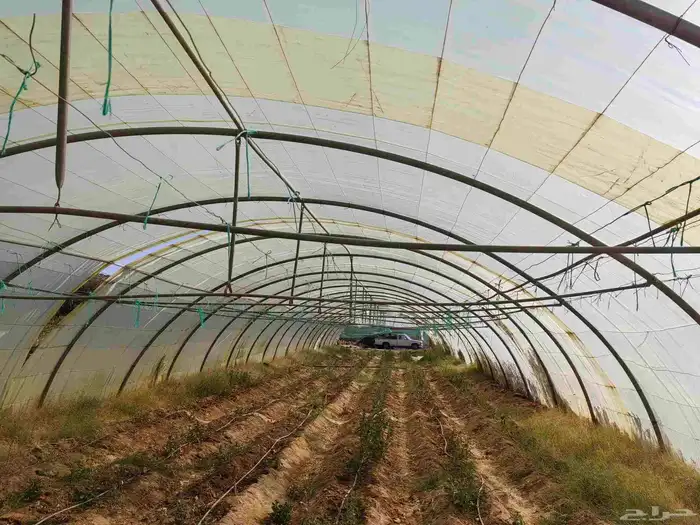 لتفاصيل راجع لعلان اسابق 1