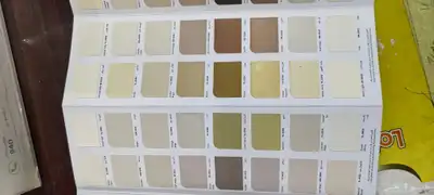 معلم دهان باكستاني شغل 100 100 index