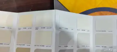 معلم دهان باكستاني شغل 100 100 index