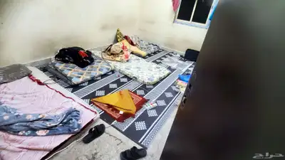 سكن عزابي ناقصنا اثنين اشخاص على الشخص 300 index