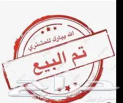 يارس 2017 بودي بلد 0