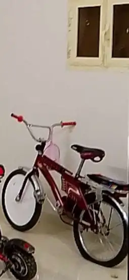 سيكل رامبو 1