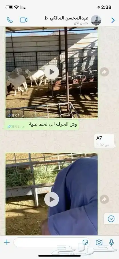 تجهيز مكشات كامل مع توفير الذبائح و لطبخ ولتوصيل 18