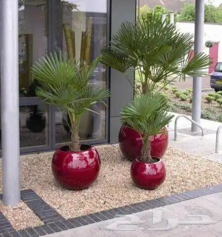 مراكن فايبر شلالات نوافير 6