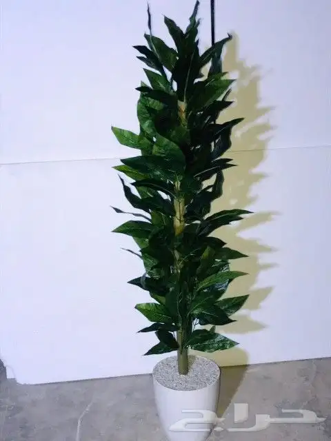اشجار صناعية 4