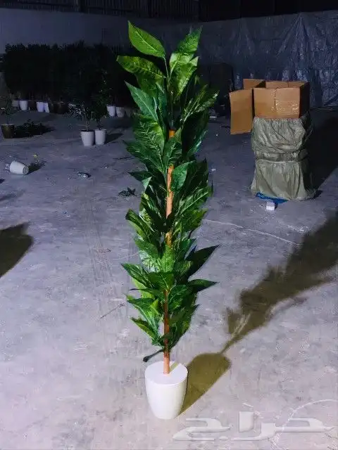 اشجار صناعية 3