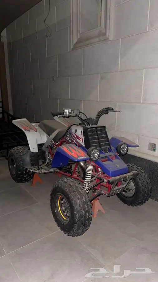 بانشي 2011 خرط 25 0